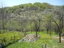 acasa la bunicul in 23 aprilie 2011