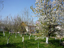 23 aprilie 2011