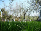 P1110131