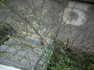 Photo 435
