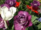 P4236843