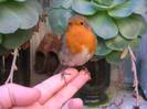 animal-fun-025