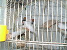 24190316_TDVPAVOYK