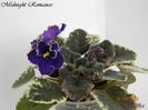 Midnight Romance 26-04-2011\'\'