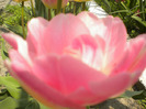 DSCN0961