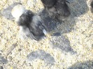 DSCN4974