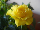 DSCN1052