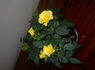 DSCN1053