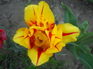DSCN1054