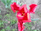 DSCN1055