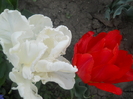 DSCN1056