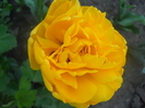 DSCN1057