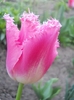 DSCN1058