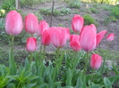 DSCN1060
