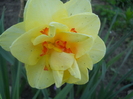DSCN1061