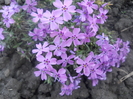 DSCN1062