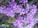 DSCN1063