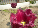 DSCN0965