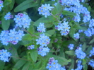 DSCN1066