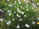 DSCN1067