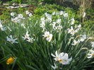 DSCN1068