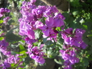 DSCN1071