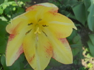 DSCN1082