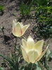 DSCN1083