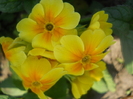 DSCN1085