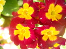 DSCN1086