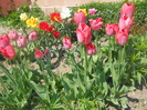 DSCN1089