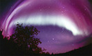 Aurora Boreala