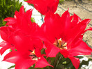 DSCN0969