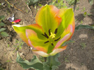 DSCN0971