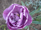 044