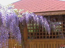 DSC02845