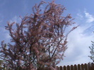 DSC02847
