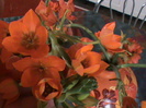 DSC02850