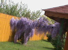 DSC02852