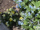 DSC02853
