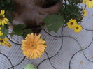 DSC02854
