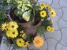 DSC02855