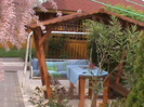 DSC02868