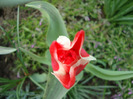 DSC02647