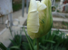 DSC02649