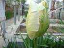 DSC02650