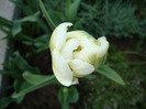 DSC02651