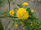DSC02657