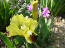 DSC02700