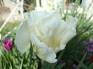 DSC02705